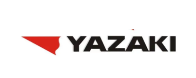 Lazy loaded image